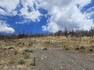 105 Robolito Rd, Ruidoso, NM 88345