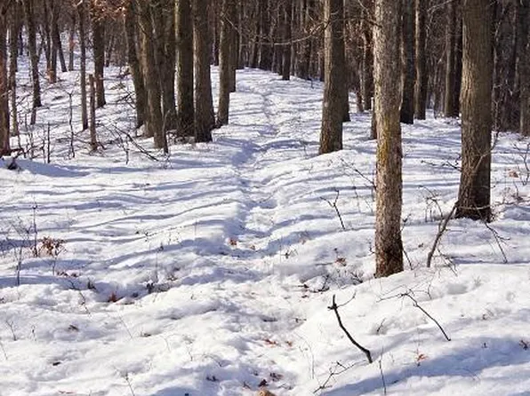 E6202 1030th Ave, Wheeler, WI 54772