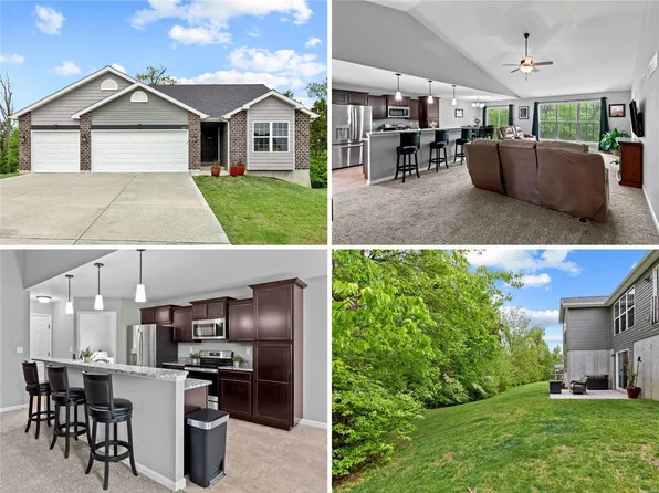 427 Sandra Dr, Truesdale, MO 63380