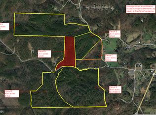 0 Pinhook Rd #9686, Ranger, GA 30734