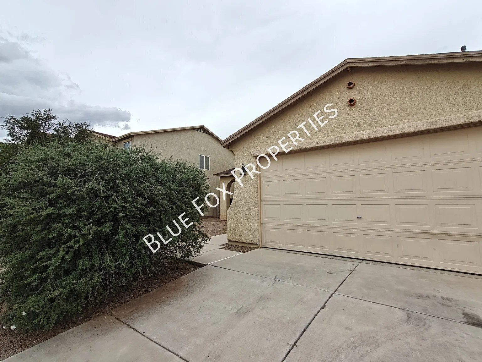 6895 S Martlet Drive — Photo 2