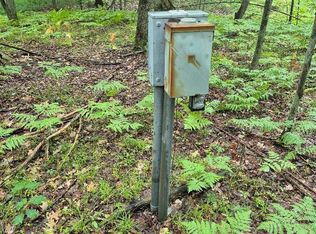 LOT 161 31 West Circle Rdg, Leroy, MI 49655