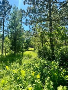 5 Destination Dr, Nevis, MN, 56467