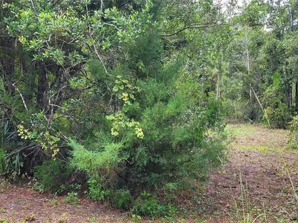 2828 Forest Park St #7, Bunnell, FL 32110