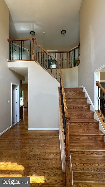 4 bed, 2.5 bath, 3404 sqft, $3,900 — Photo 3