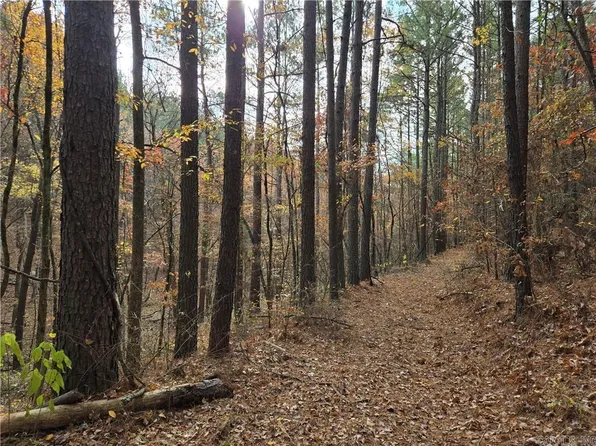 0 Cedar Branch Rd, Hattieville, AR 72063