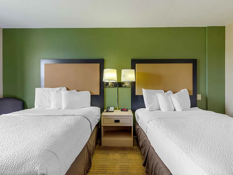 Studio Suite - 2 Full Beds