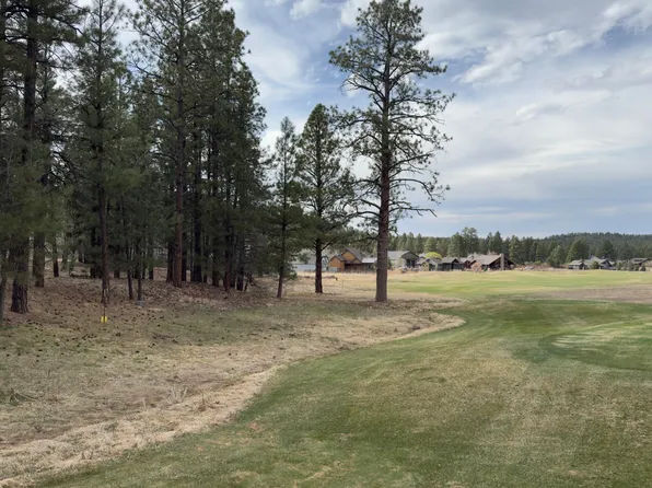 911 S Torrey Pines Dr, Williams, AZ 86046