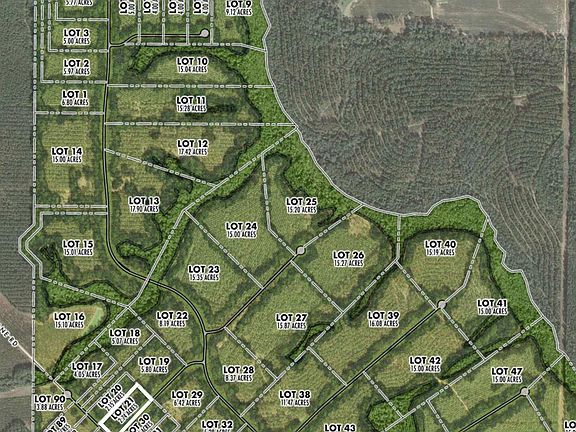 5th image of LOT 21 Pine Preserve Ln