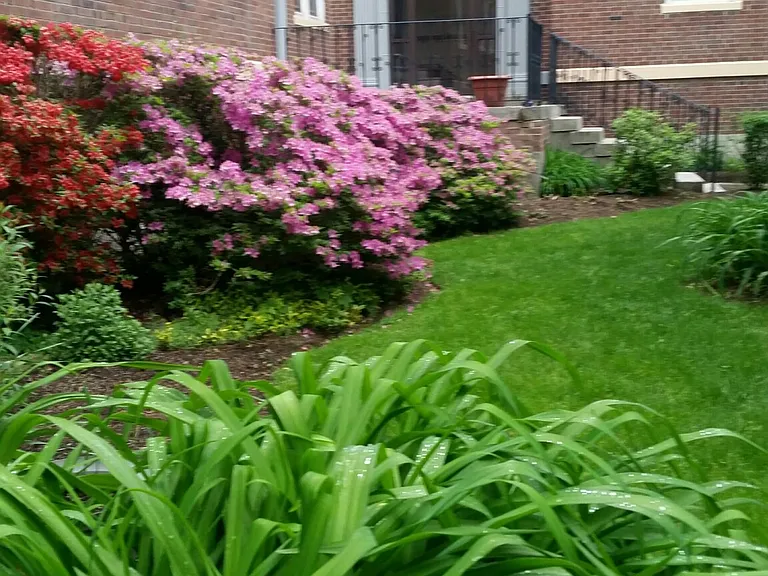 53 Manchester Rd #5 — Photo 16