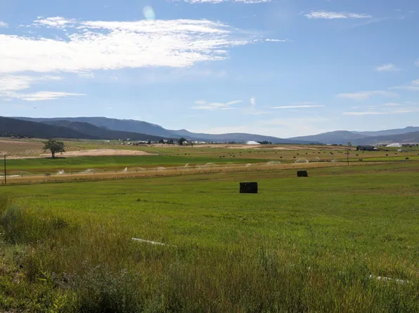 TRACT 16 Bostwick Park Rd, Montrose, CO 81401
