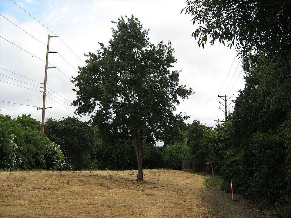 open space behind