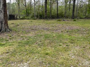 13653 Amite Ln, Maurepas, LA 70449