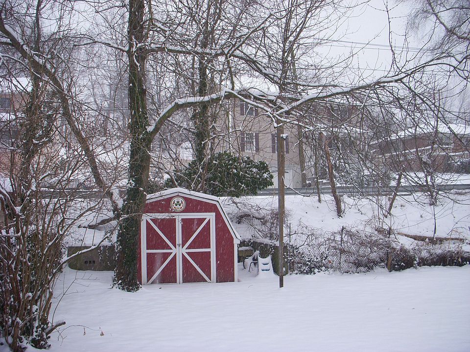 Back Yard Winter