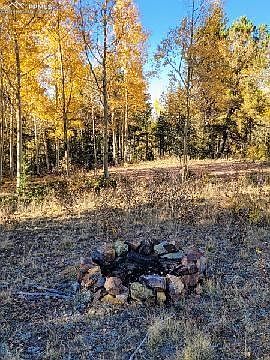 1st image of 1558 County Road 61