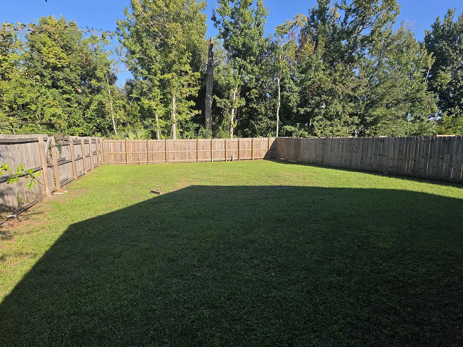 3 bed, 1395 sqft, $2,400 — Photo 4