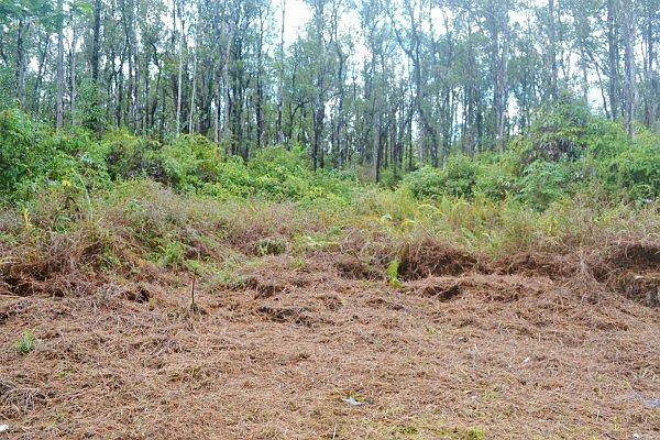 1st image of Road 9 Koloa Maoli Lot 5486