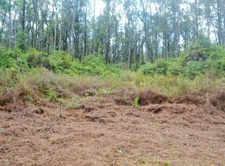 Road 9 Koloa Maoli LOT 5486, Kurtistown, HI 96760