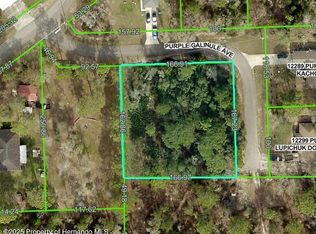 0 Purple Galinule Ave, Weeki Wachee, FL 34614