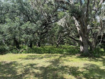 LOT 17 SE 192nd Ct Lot 17, Morriston, FL, 32668