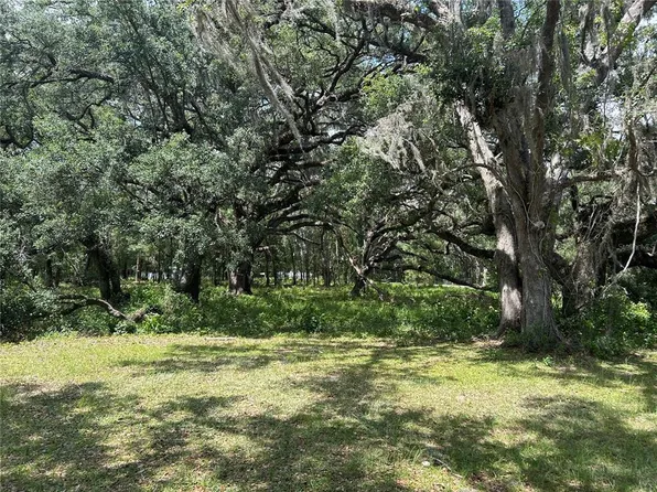 LOT 17 SE 192nd Ct Lot 17, Morriston, FL 32668