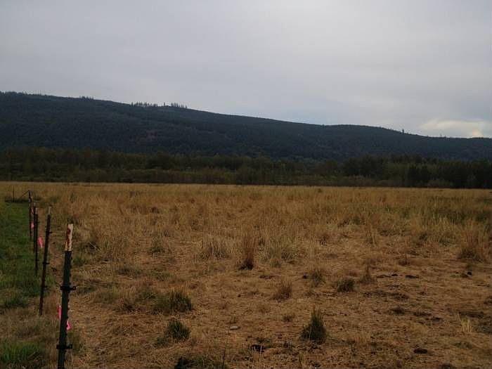 Acme Valley Foothills