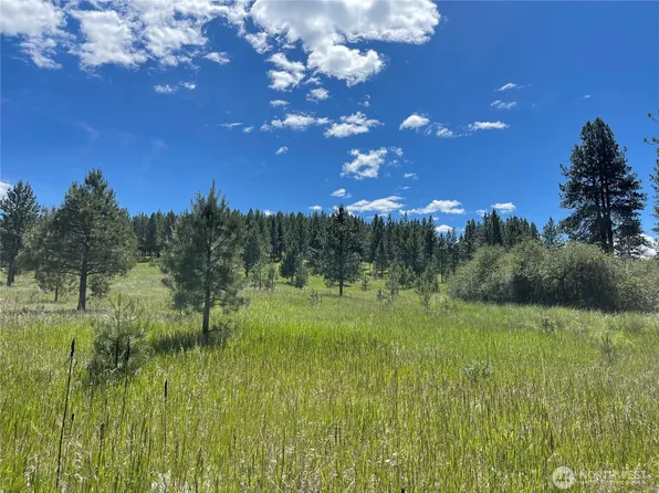 0 A Chopaka Way, Tonasket, WA 98855