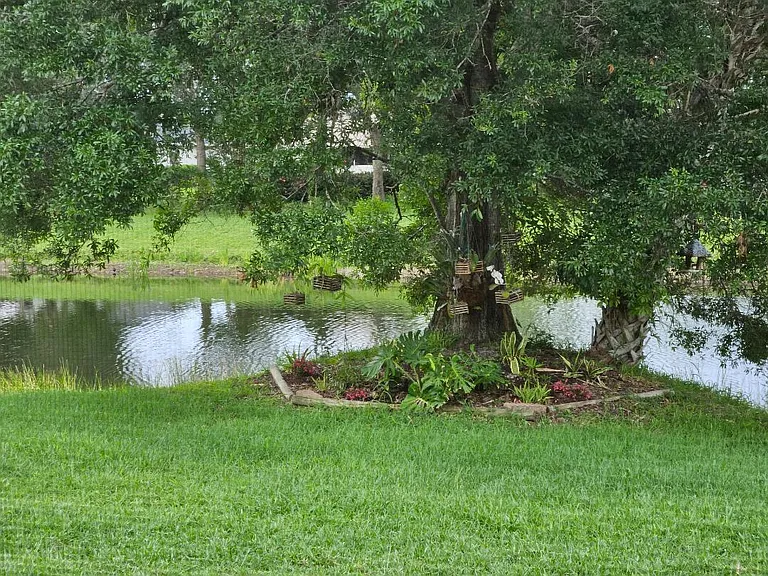 552 Calamondin Way SW — Photo 12