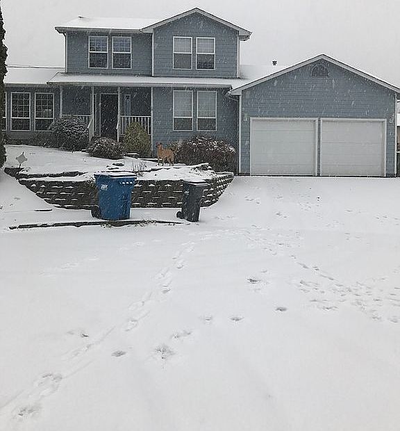 2nd image of 1133 Ashwood Ct SE