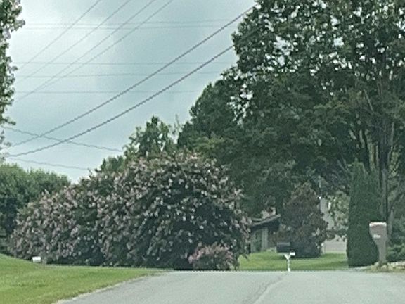 4th image of 1306 Amber Dr