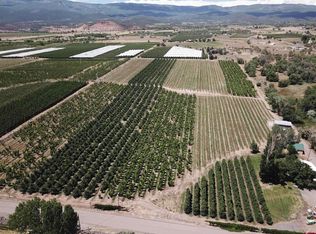 1168 NW Cedar Avenue, Cedaredge, CO 81413