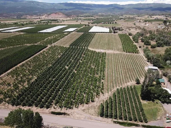 1168 NW Cedar Avenue, Cedaredge, CO 81413