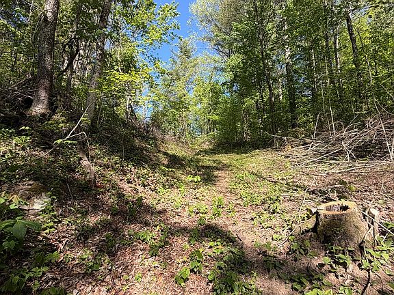 4th image of Jeb Stuart Hwy