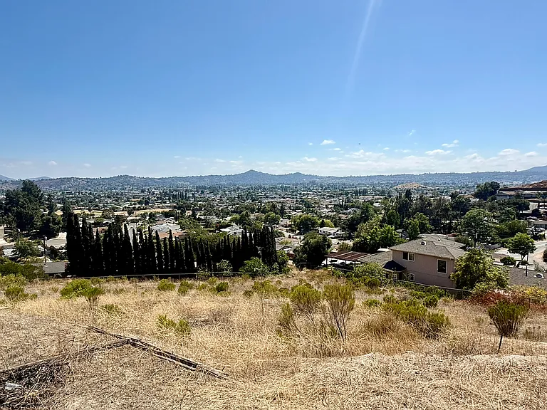 1698 Via Elisa Dr — Photo 39