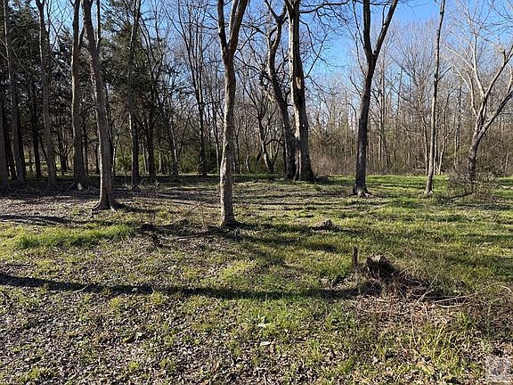 5th image of 10743 Fm 561