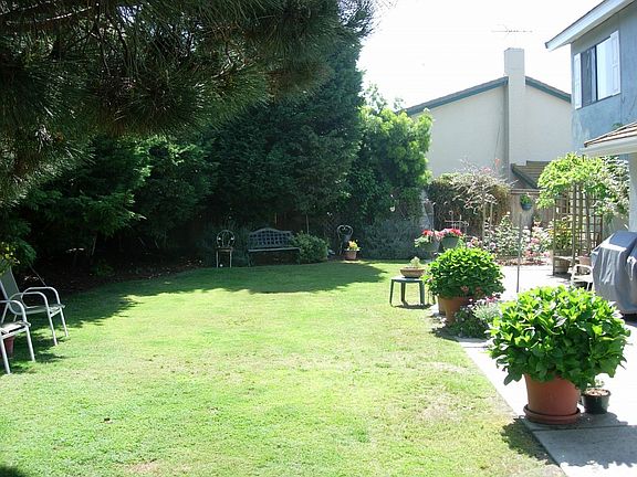 Expansive Backyard Garden