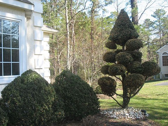 Ornamental Plantings