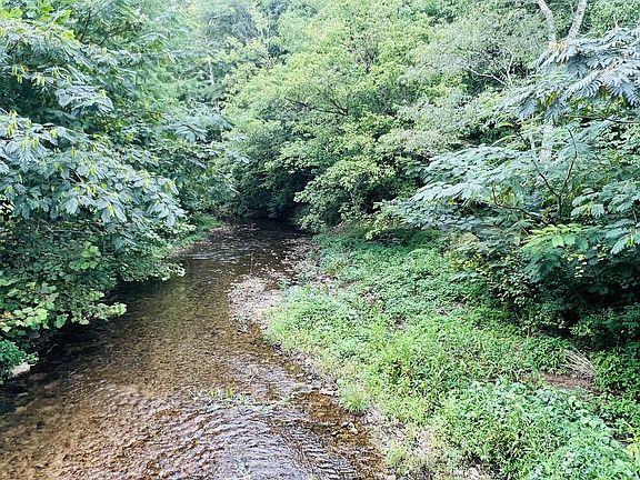 5th image of 380 Dry Weakley Creek Rd