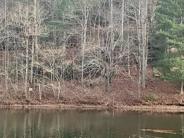 LOT 5 The Lndg, Robbinsville, NC 28771