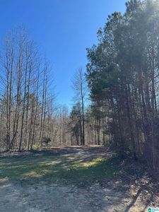 19063 Westside Rd #6, Brookwood, AL, 35444