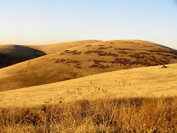 Northeast hills on property