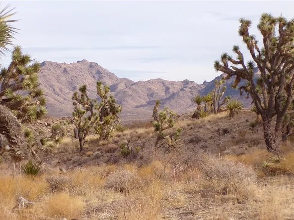 LOT 72 W 20th St, Dolan Springs, AZ 86441