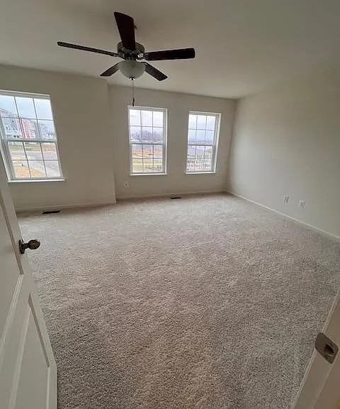119 Clifton Mnr — Photo 9