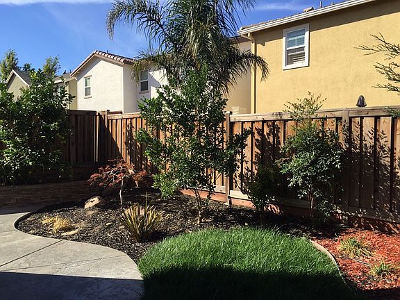 Backyard landscaping