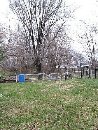 2nd image of 135 Ward Ave