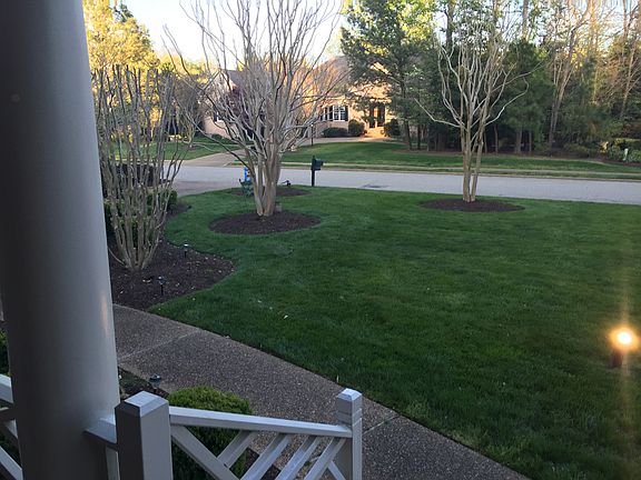 Front yard 