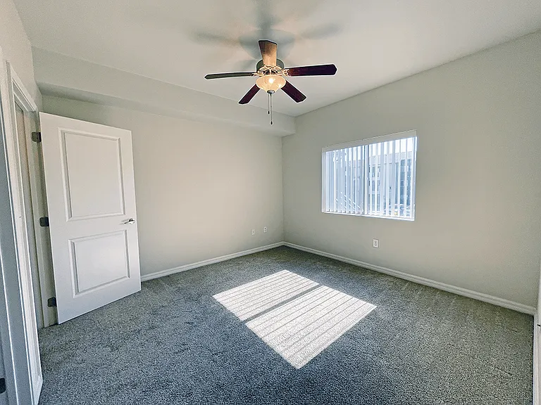 Blinds Throughout