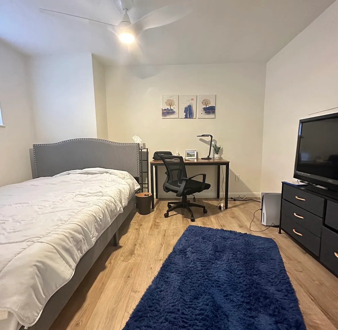 2 bed, 750 sqft, $3,600 — Photo 3