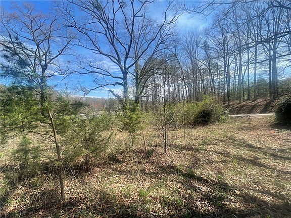 5th image of 0 Charlie Mitchell Rd