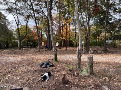 712 Gibson St, Trenton, TN, 38382